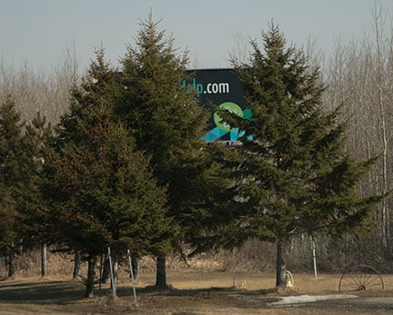 billboard covered with trees