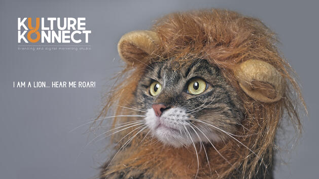 A cat with a lion's hair.