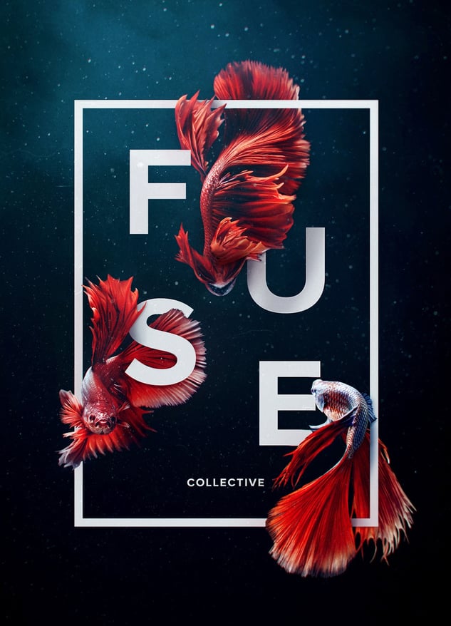 Fuse logo