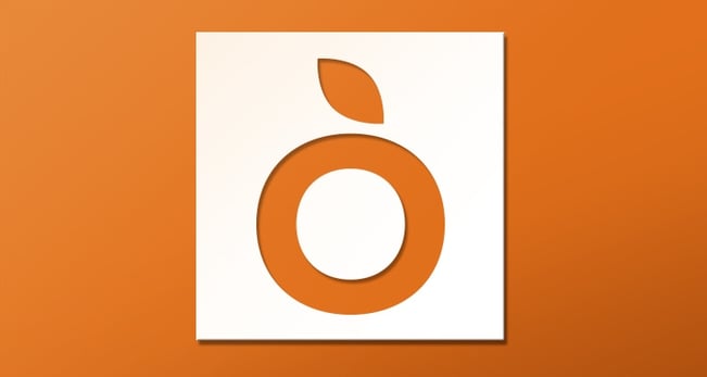 OLAARochelleReiter logo on orange background