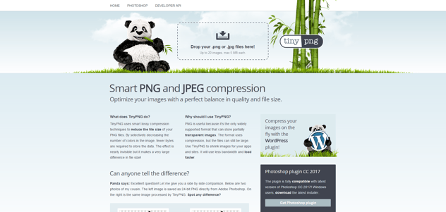 TinyPNG web design